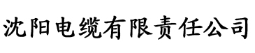 理论片一区二区三区在线观看电缆厂logo